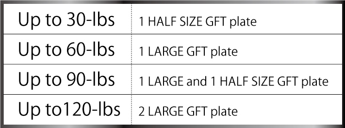 GFT plate fryer usage